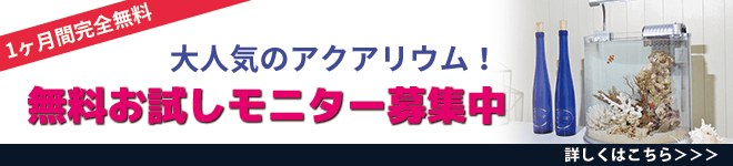 アクアリウム無料お試しモニター募集中です